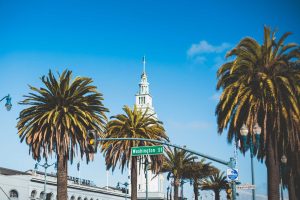 Washington Street Palms in San Francisco