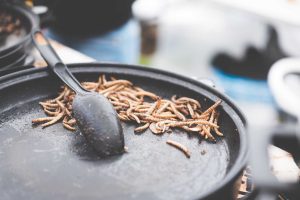 Fried Caterpillars Traditional Exotic Asian Food