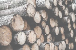 Pile of Felled Wood Logs Desaturated