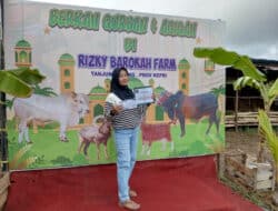 Rizky Barokah Farm Menawarkan Hewan Qurban  Berkualitas dan Diskon Harga