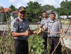 Hasil Budidaya Napi, Kalapas Edi Panen Timun dan Melon Segar