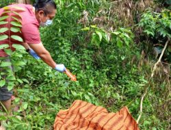 Petugas Mini Zoo Kijang Ditemukan Tak Bernyawa di Semak Taman Kota