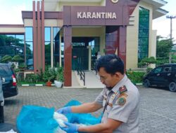 Barantin Kepri Sertifikasi Rajungan Senilai Rp 5,76 Miliar Asal Tanjungpinang