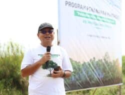 Hari Maritim Nasional, SPMT Grup Tanam 30.000 Bibit Mangrove di Pesisir Kalteng