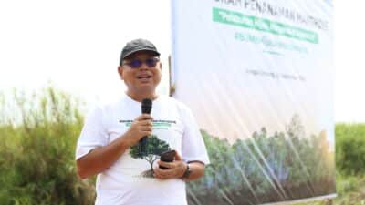 Hari Maritim Nasional, SPMT Grup Tanam 30.000 Bibit Mangrove di Pesisir Kalteng