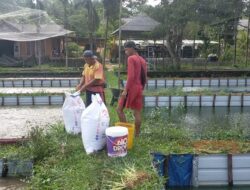 Gontorkan 2 Miliar Setiap Tahun, Pemerintah Berikan Bantuan Kelompok Peternak Ikan di Bintan