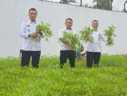 Wujud Akselerasi Ketahanan Pangan Nasional, Lapas Umum Tanjungpinang Tabur Bibit Jagung dan Panen Kangkung di SAE