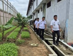 Dukung Ketahanan Pangan, Kalapas Bejo Tinjau Pemeliharaan Tanaman Sayur