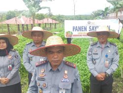 Lapas Umum Tanjungpinang Panen Raya Sayuran Kangkung